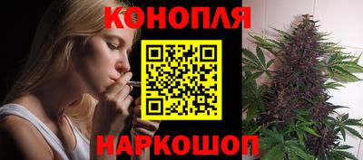 мяу мяу мука Новозыбков