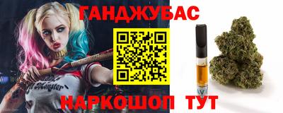 скорость Новодвинск