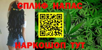 мяу мяу мука Новозыбков