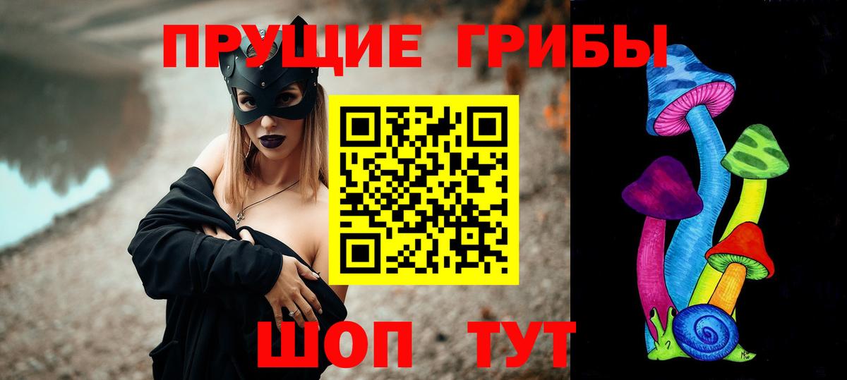 Галлюциногенные грибы Psilocybe  Вход с VPN  Норильск 